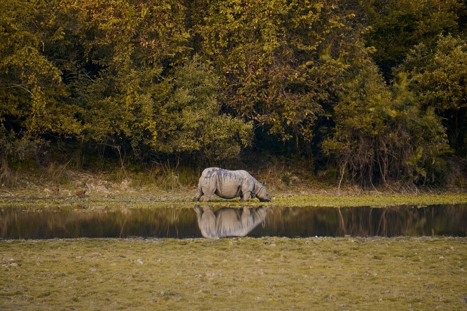 Kaziranga Nameri Tawang Tour Package