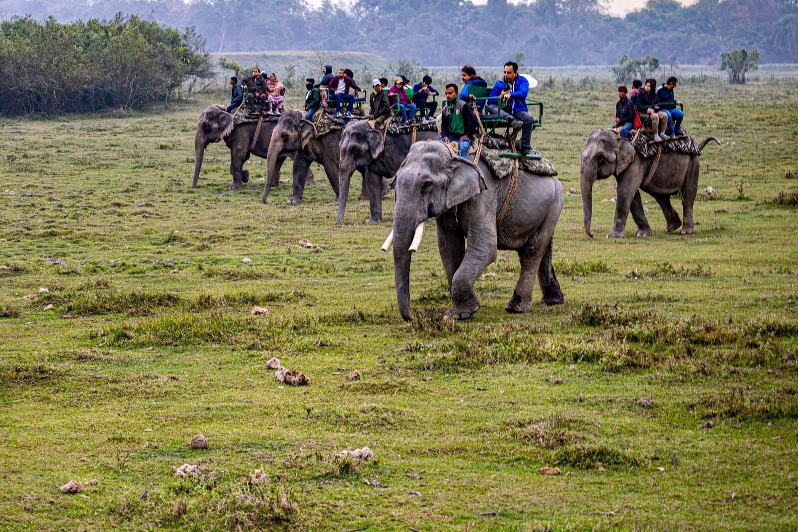 Assam Tour Package from Guwahati